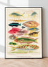 Modern Black Wood Framed Great Barrier Reef Fishes Vintage Illustration Wall Art Print